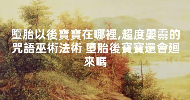 墮胎以後寶寶在哪裡,超度嬰霛的咒語巫術法術 墮胎後寶寶還會廻來嗎